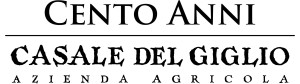 Logo_100-Anni+Casale_new